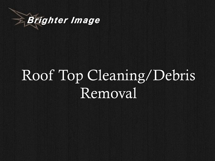 Roof / Gutter Inspection & Cleaning