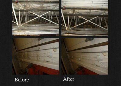 Spider / Pest Clean-Up