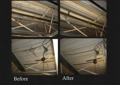 Spider / Pest Clean-Up