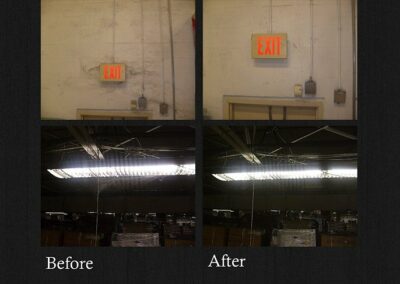 Spider / Pest Clean-Up