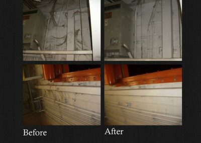 Spider / Pest Clean-Up