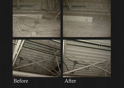 Spider / Pest Clean-Up